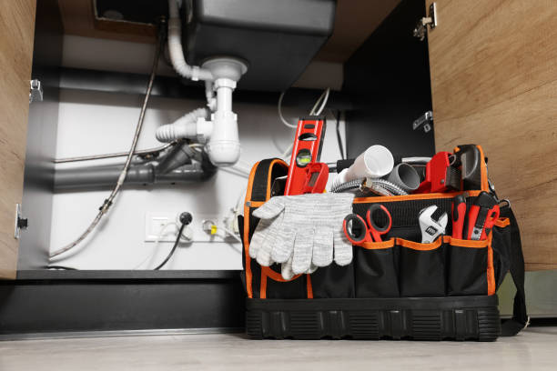 Best Affordable Plumbing Services  in Carlin, NV