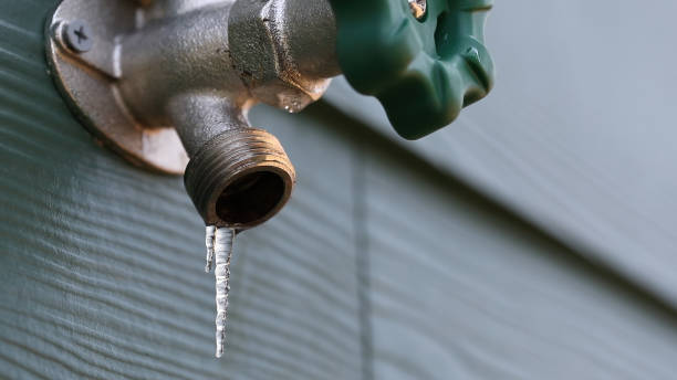 Best Sewer Line Repair  in Carlin, NV